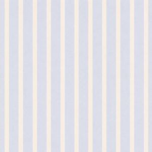 Sky Blue & White Stripe
